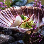 Hotel apartamentowy Lindesnes Havhotel 4*